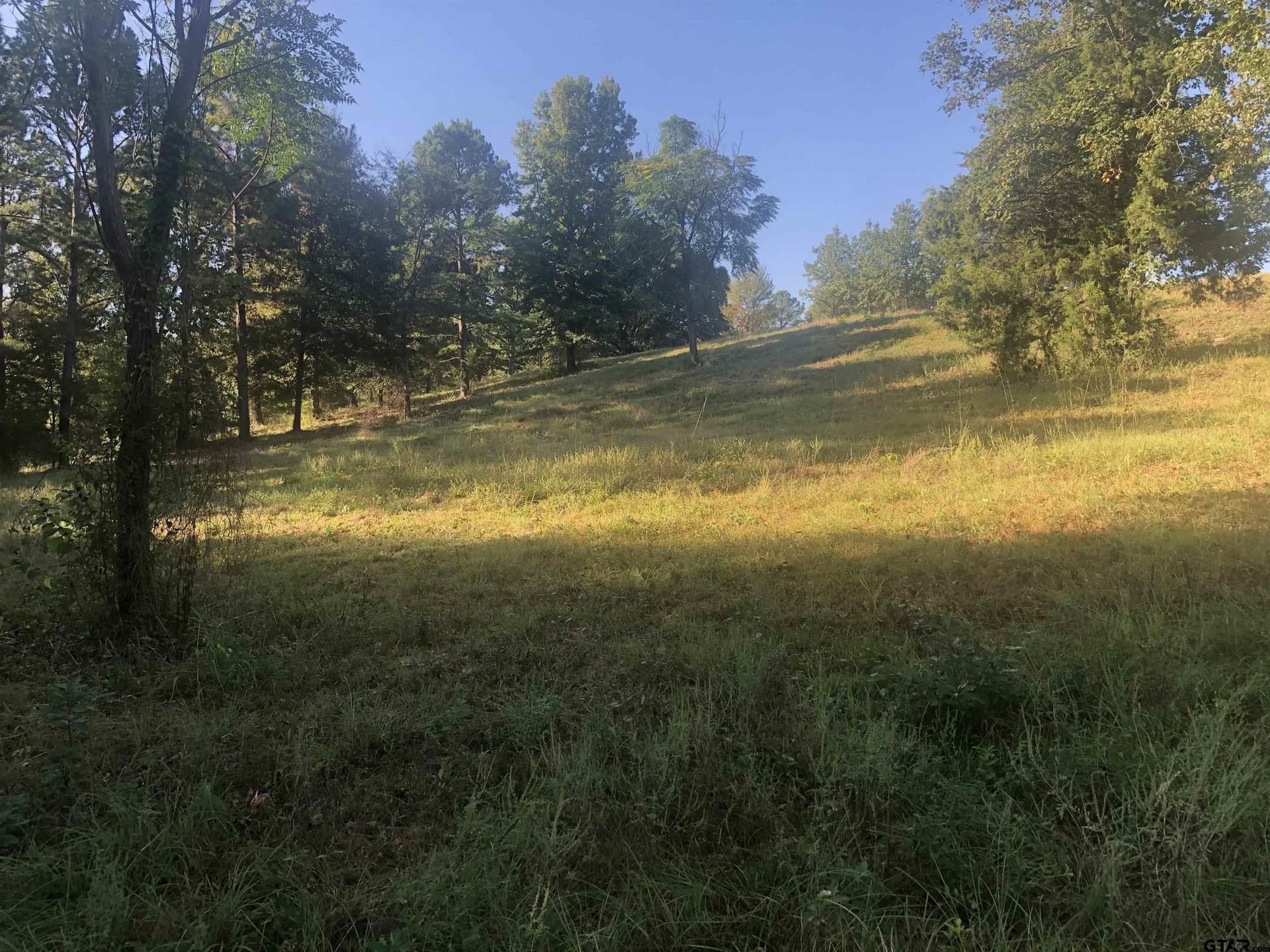 15.04 acres in Smith County - photo 5
