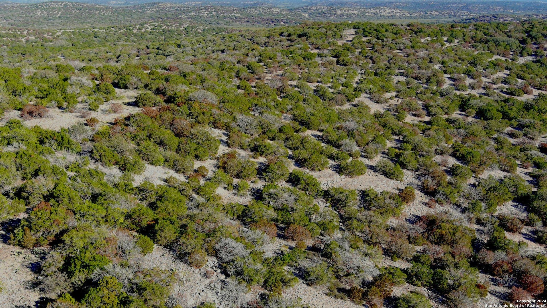 145 acres in Edwards County - photo 39
