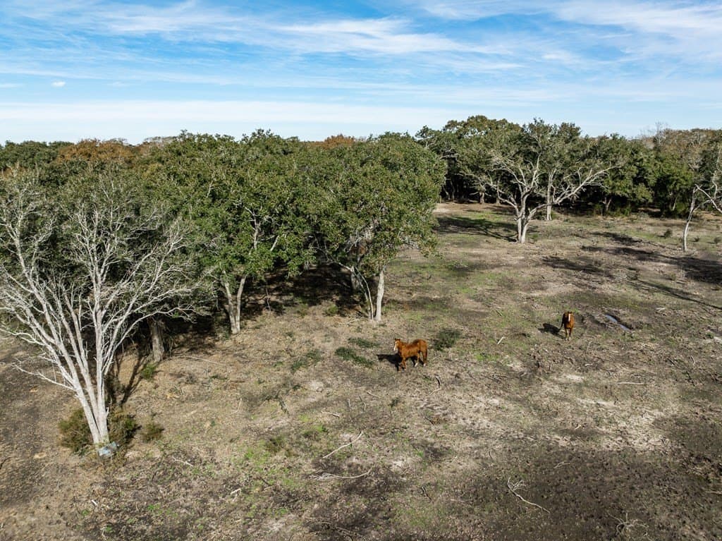 15.41 acres in Texas County - photo 27