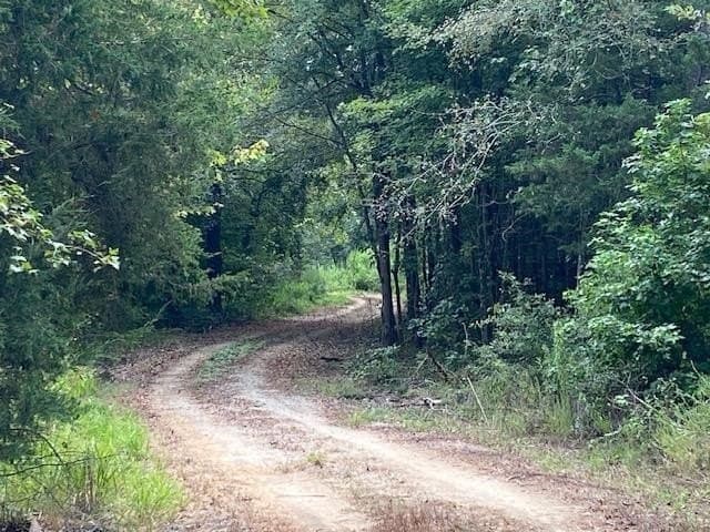 144.04 acres in Morris County - photo 6