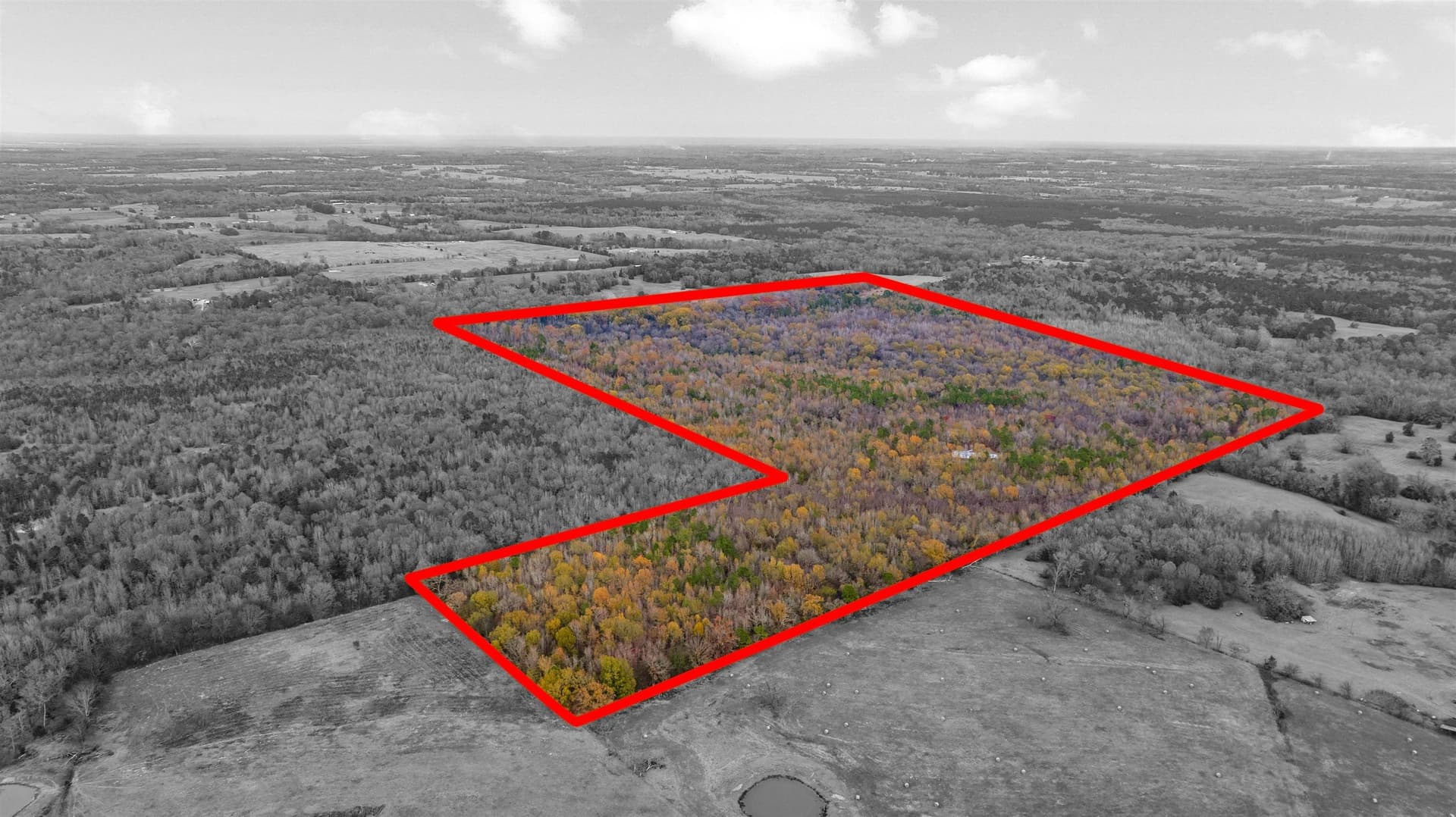 144.04 acres in Morris County - photo 8