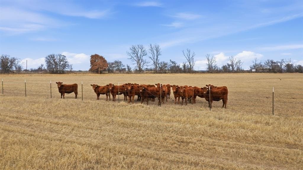 146.27 acres in Comanche County - photo 26