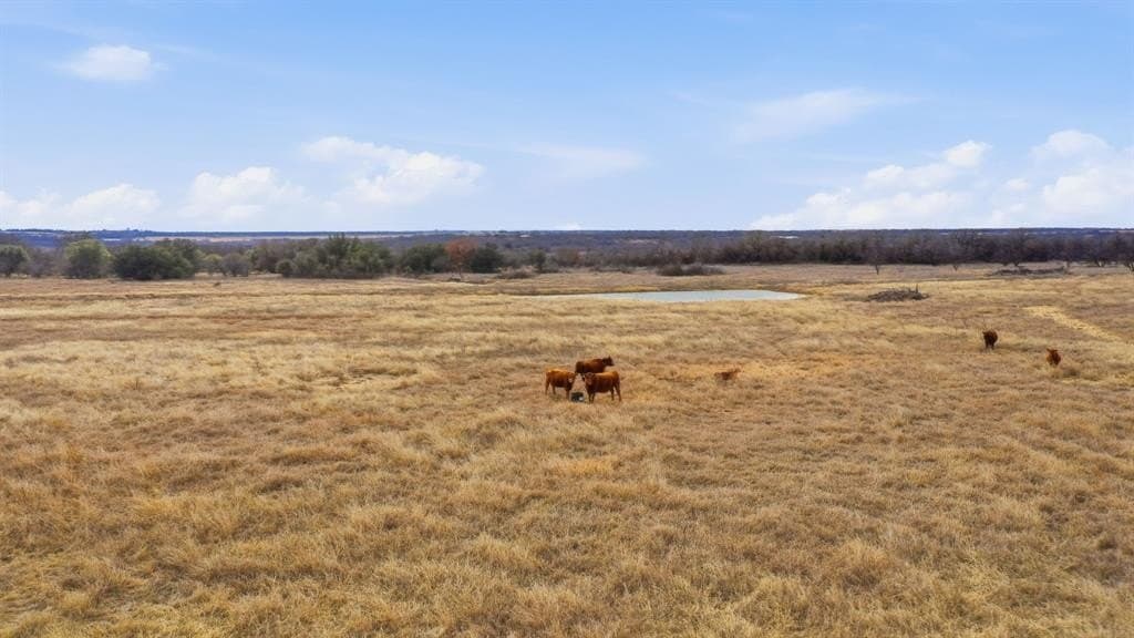 146.27 acres in Comanche County - photo 12
