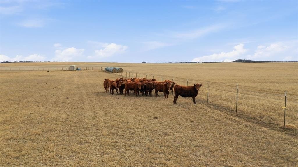 146.27 acres in Comanche County - photo 25