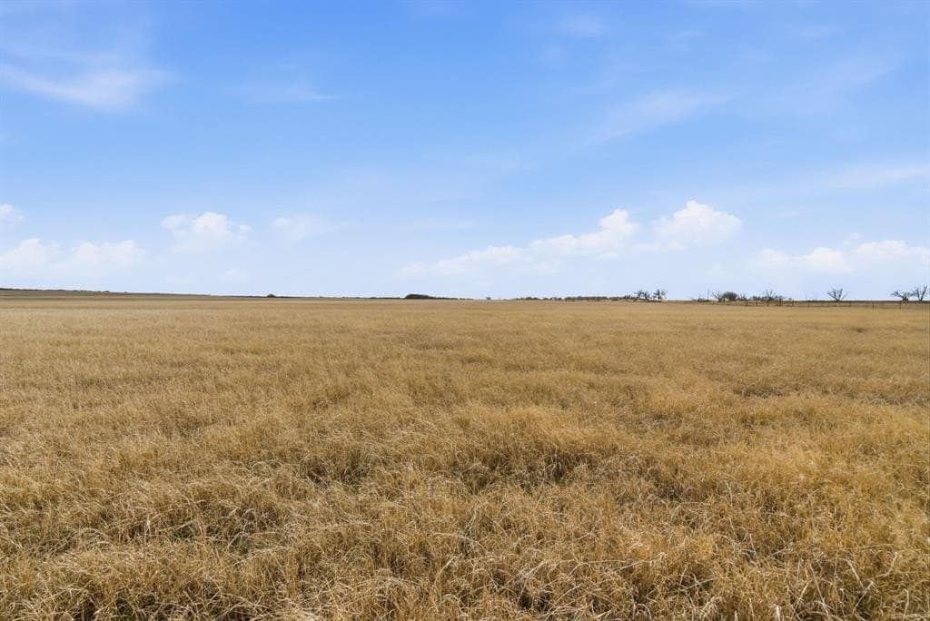 146.27 acres in Comanche County - photo 34