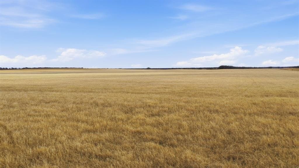 146.27 acres in Comanche County - photo 22
