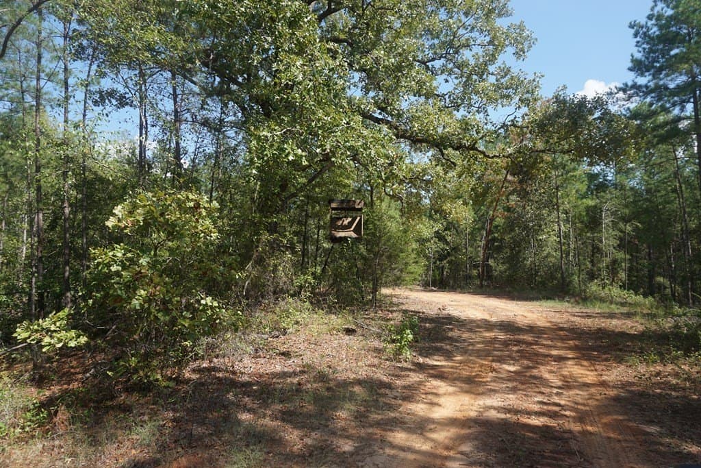 25.84 acres in ANDERSON County - photo 4