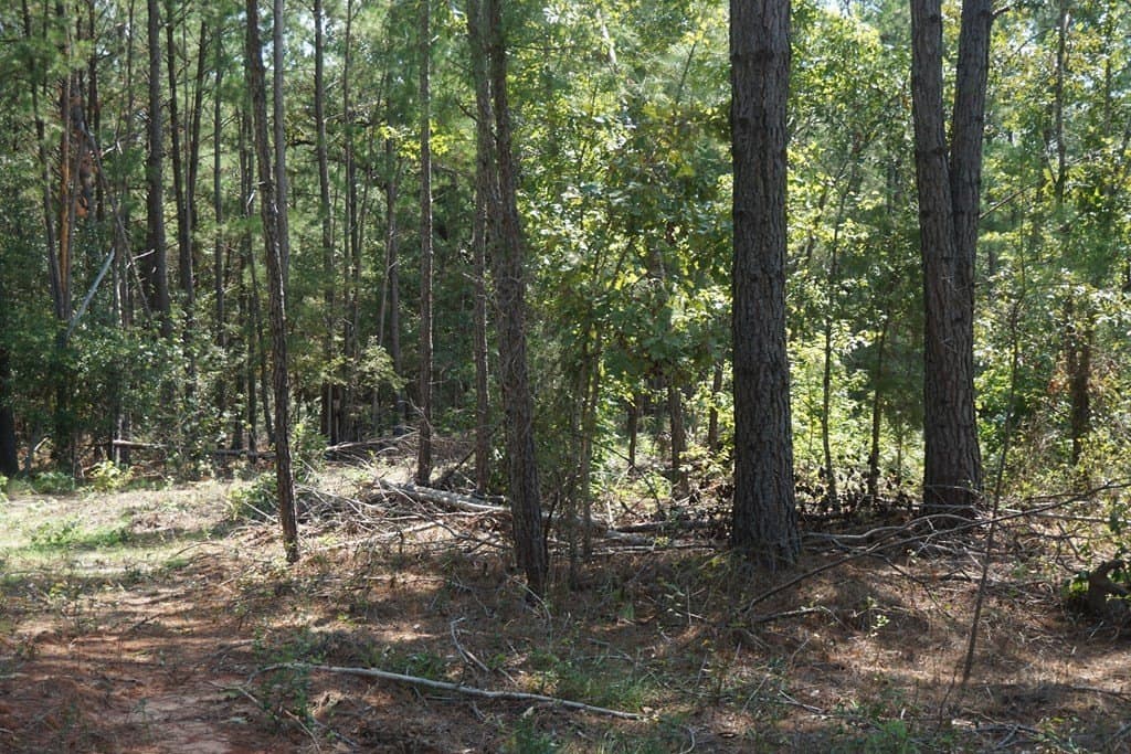 25.84 acres in ANDERSON County - photo 5