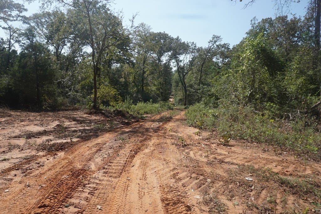 25.84 acres in ANDERSON County - photo 3