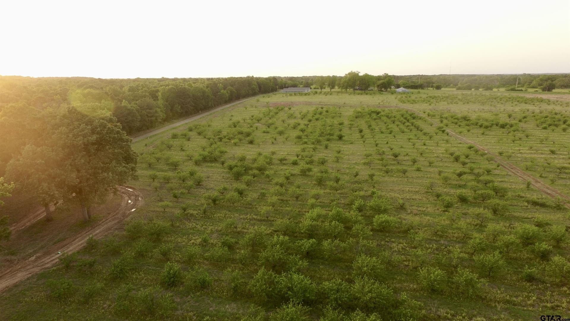 0.82 acres in Camp County - photo 3