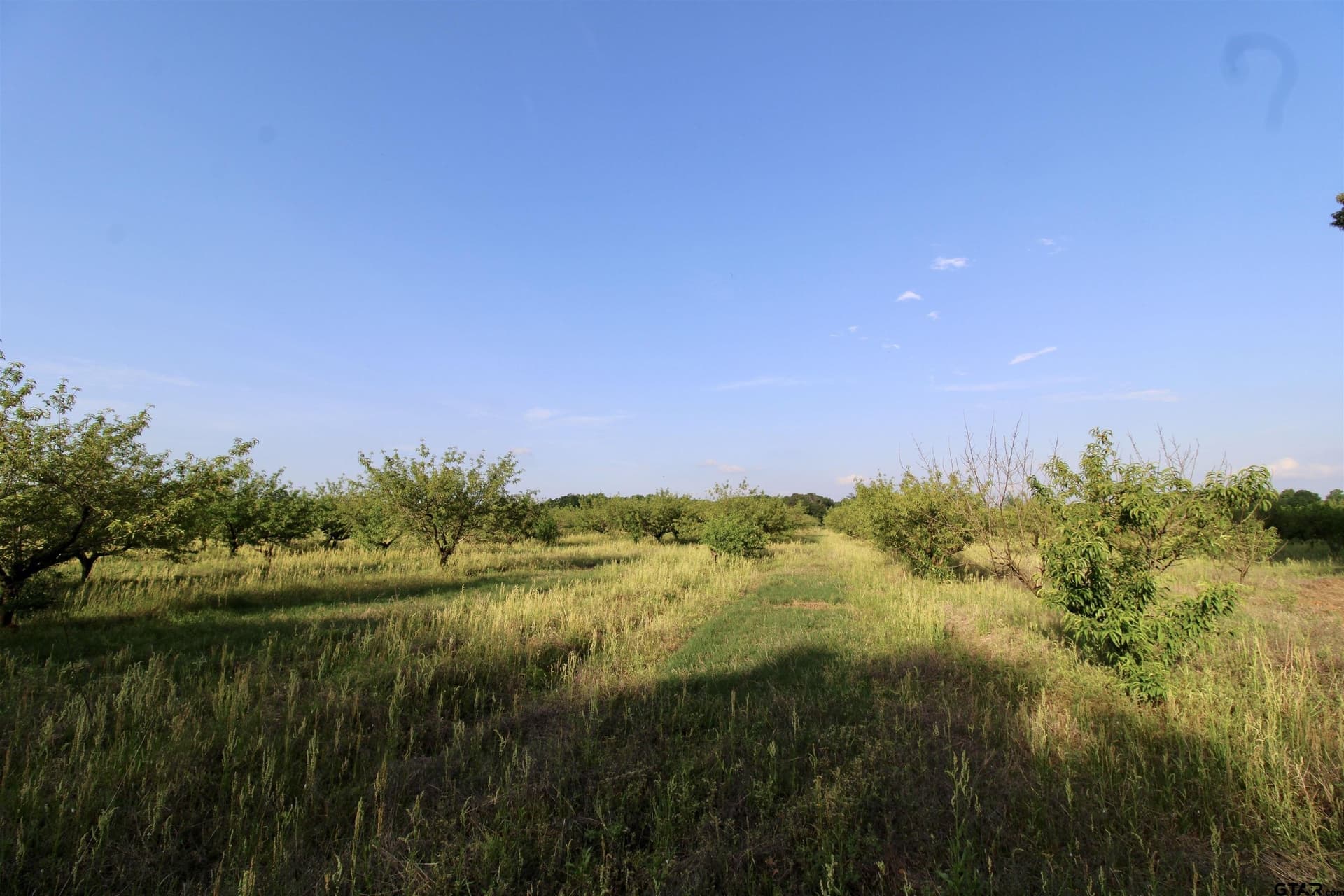 0.82 acres in Camp County - photo 2
