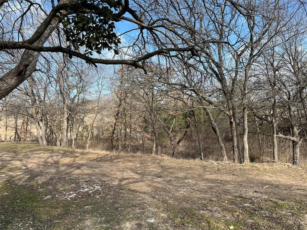 2.21 acres in Grayson County - photo 11