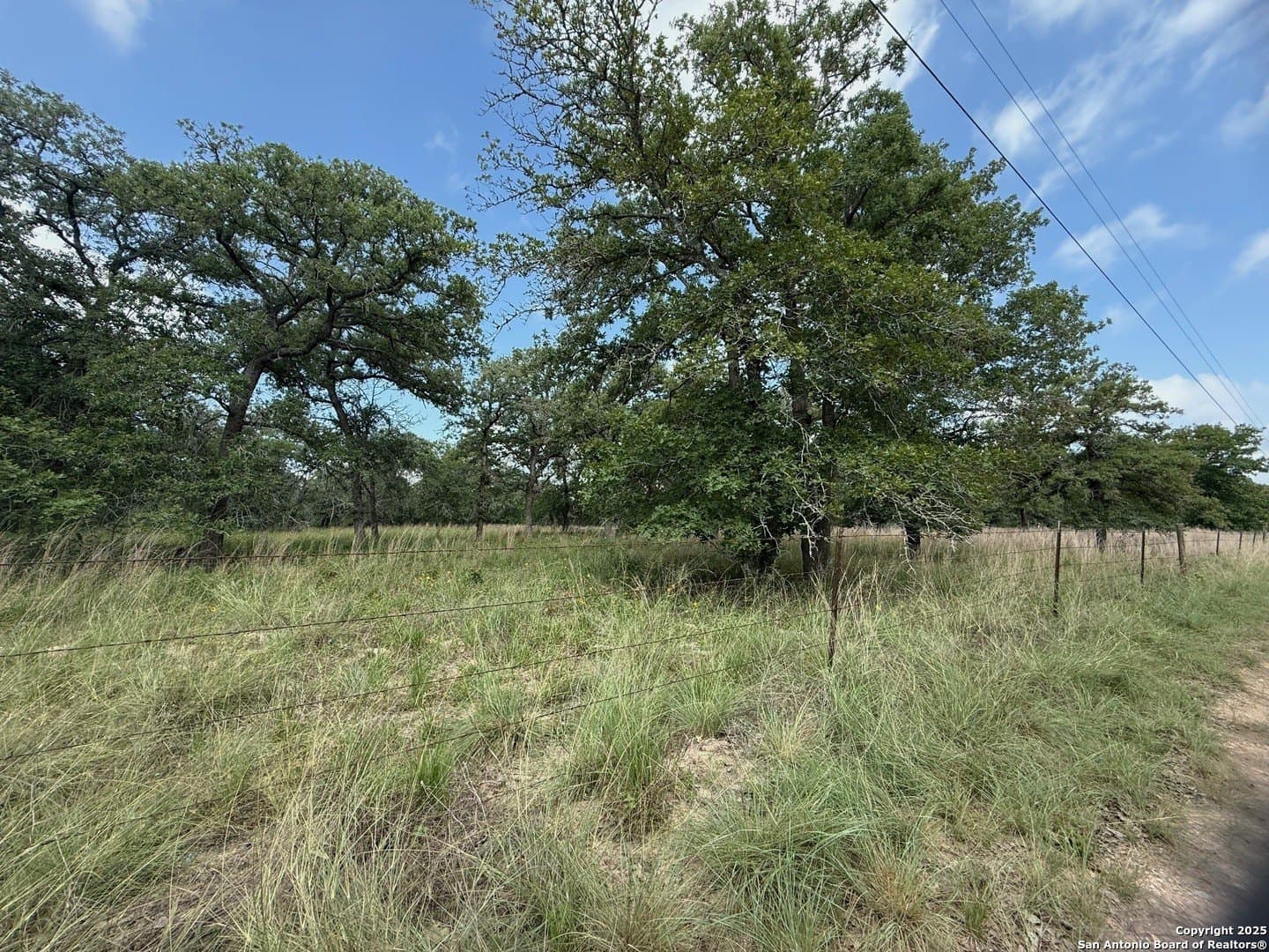 4 acres in Wilson County - photo 3