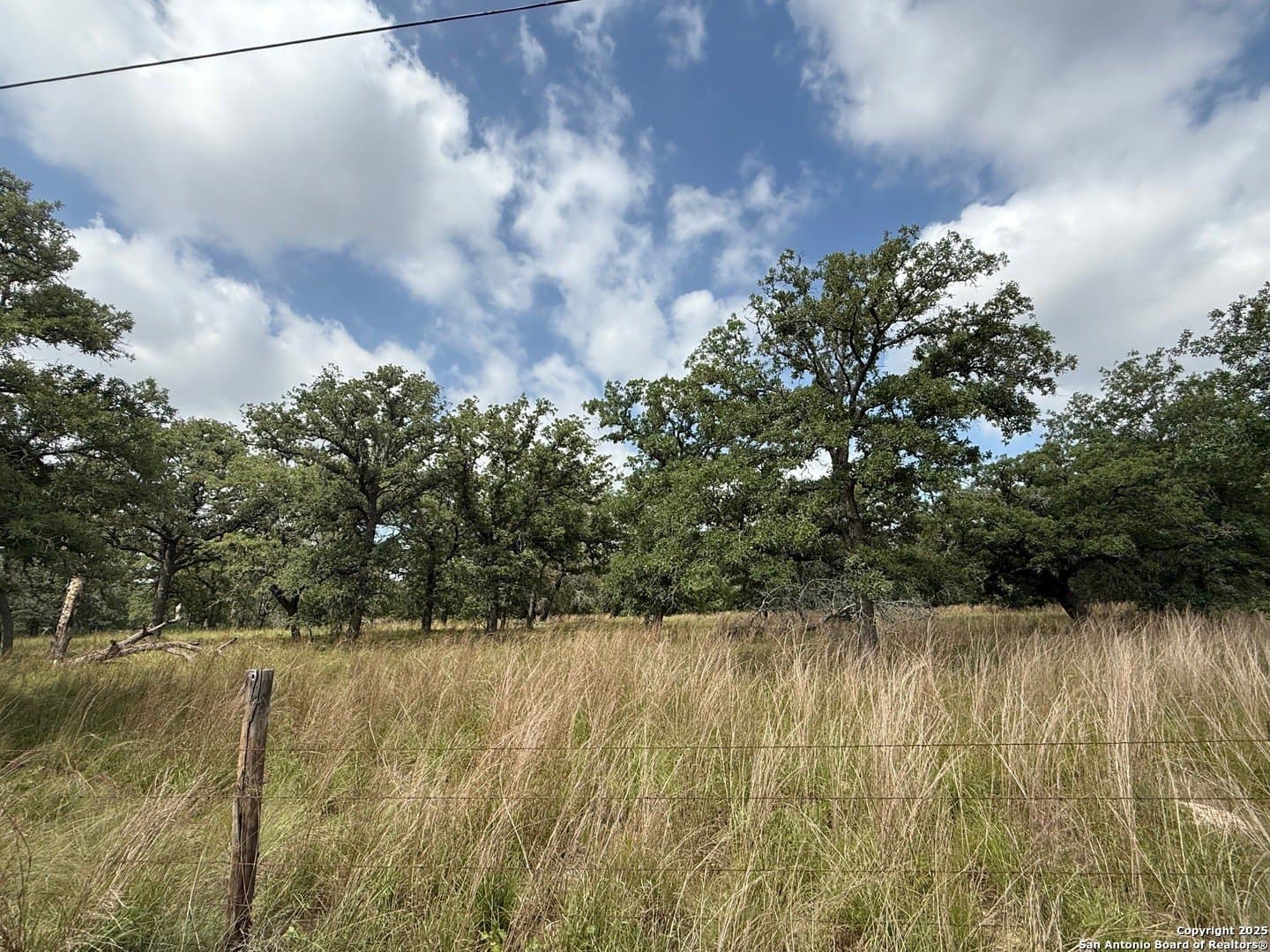 4 acres in Wilson County - photo 2