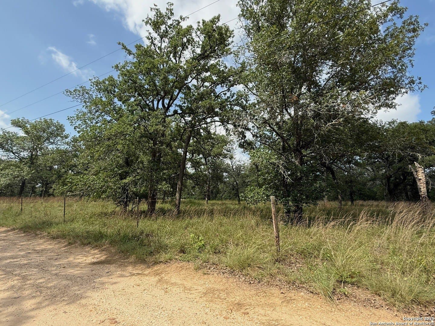 4 acres in Wilson County - photo 5