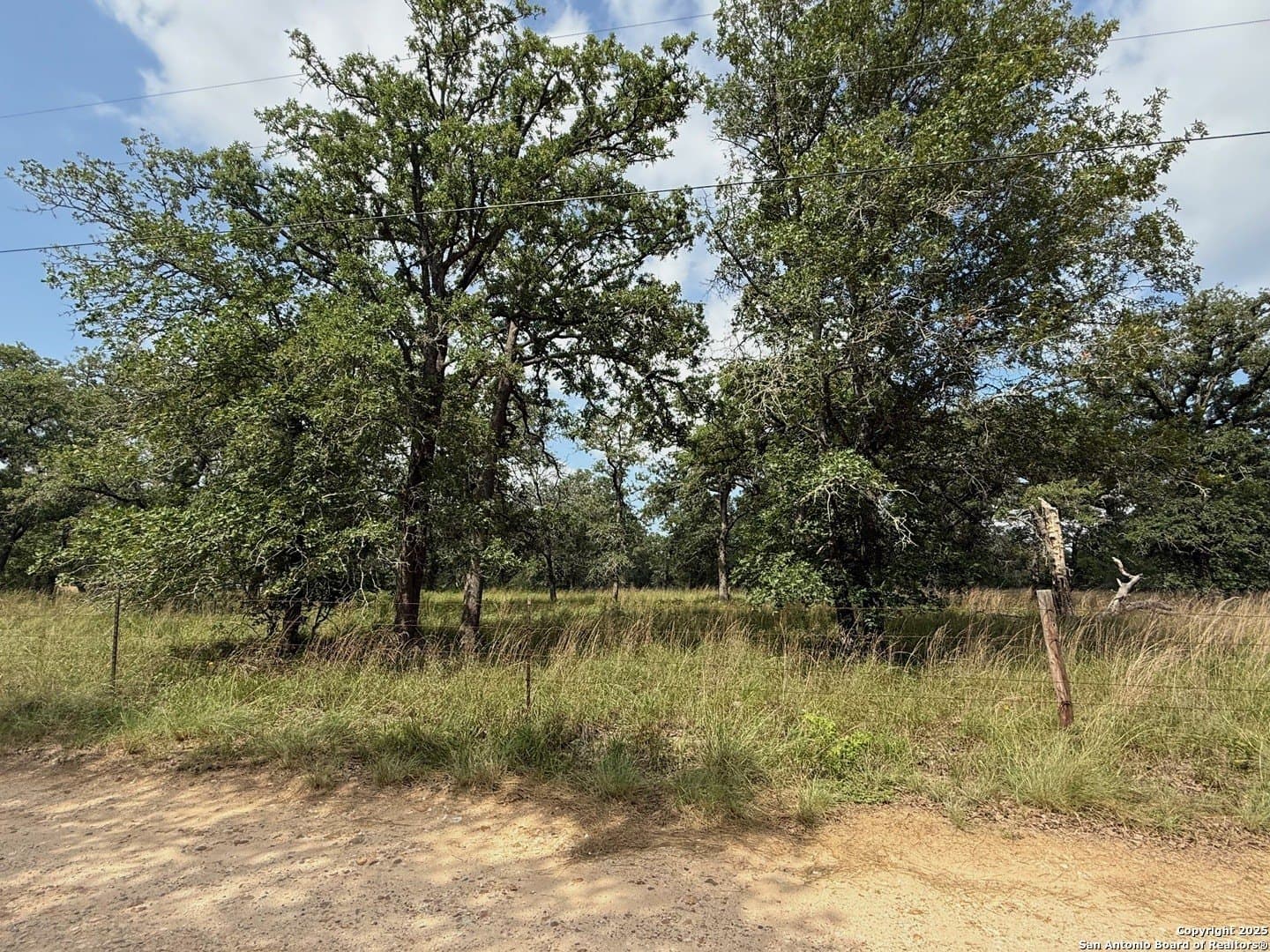 4 acres in Wilson County - photo 4