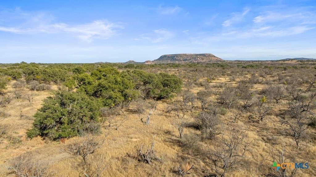59.25 acres in Llano County - photo 26