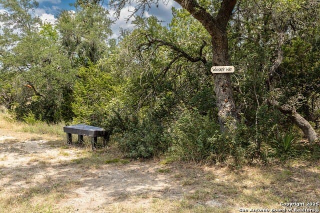 10.19 acres in Comal County - photo 81