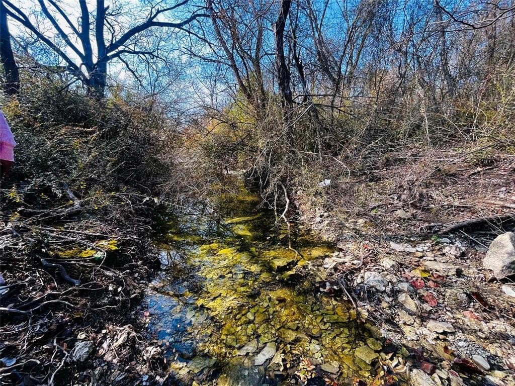 1.73 acres in Dallas County - photo 6