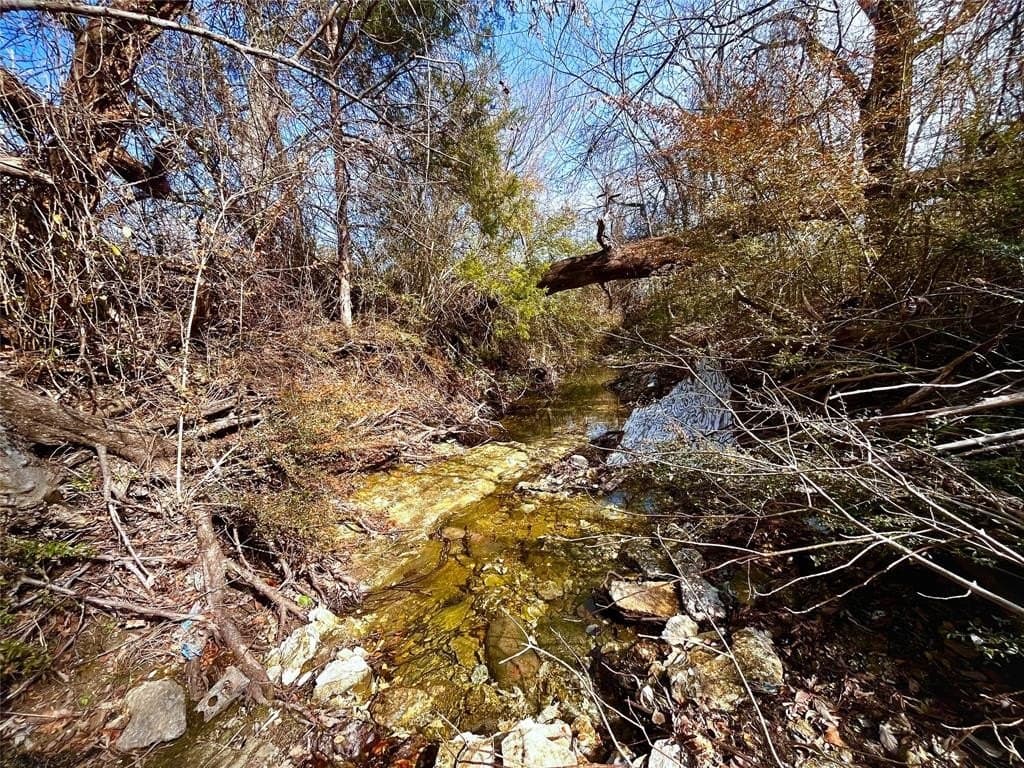 1.73 acres in Dallas County - photo 7