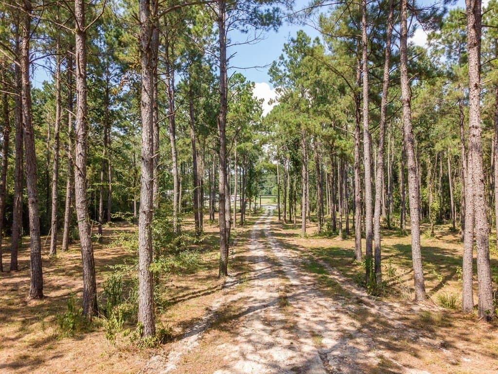 11.9 acres in Texas County - photo 21
