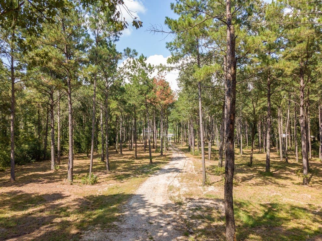 11.9 acres in Texas County - photo 3