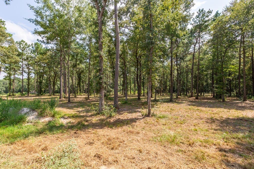 11.9 acres in Texas County - photo 13