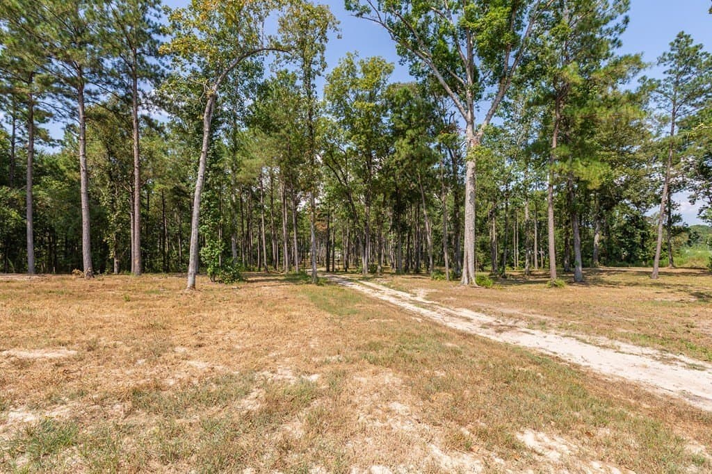 11.9 acres in Texas County - photo 15