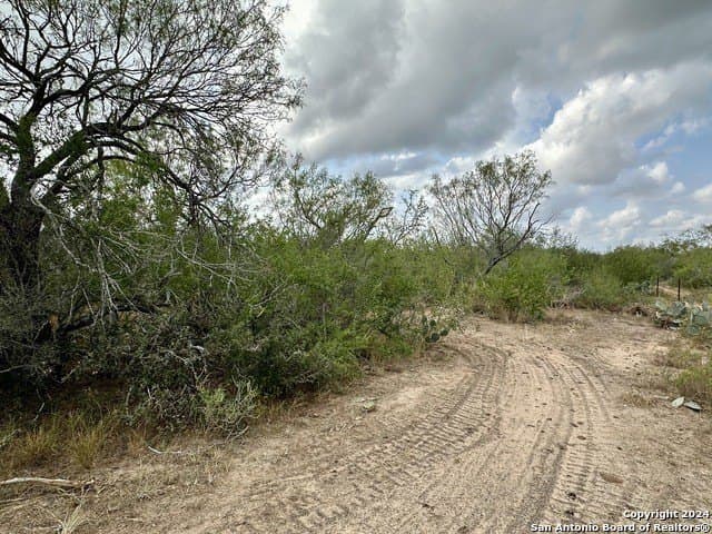 30 acres in Atascosa County - photo 7