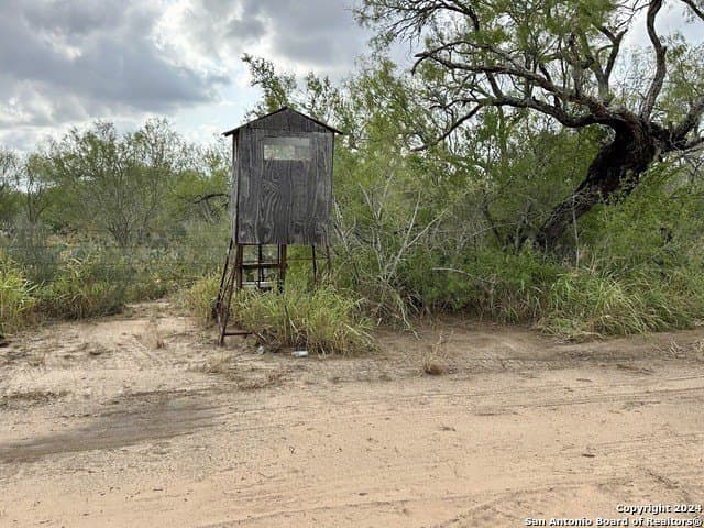 30 acres in Atascosa County - photo 5