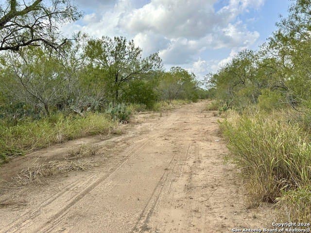 30 acres in Atascosa County - photo 6