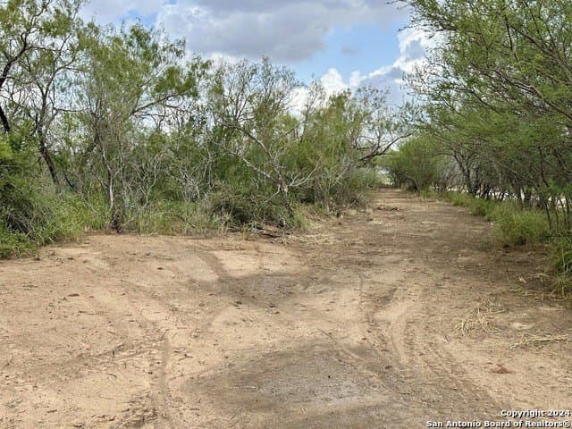 30 acres in Atascosa County - photo 2