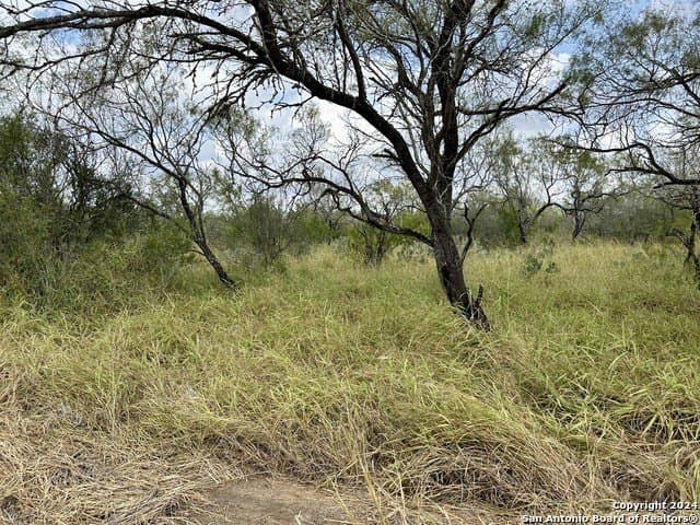 30 acres in Atascosa County - photo 8