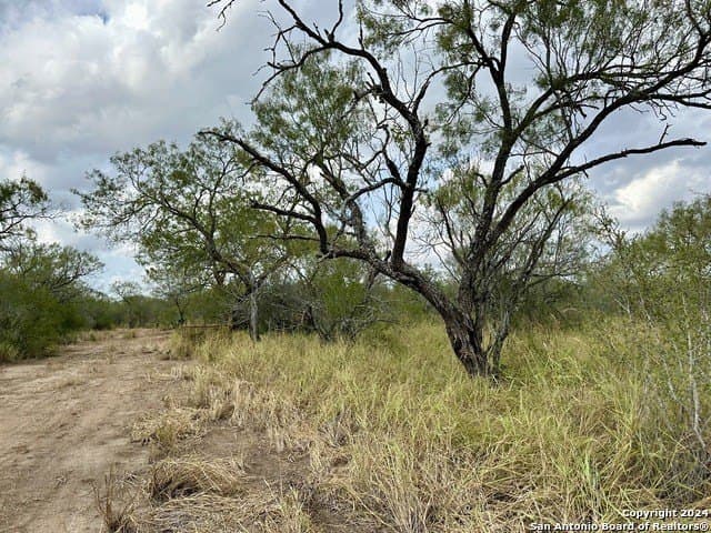 30 acres in Atascosa County - photo 9