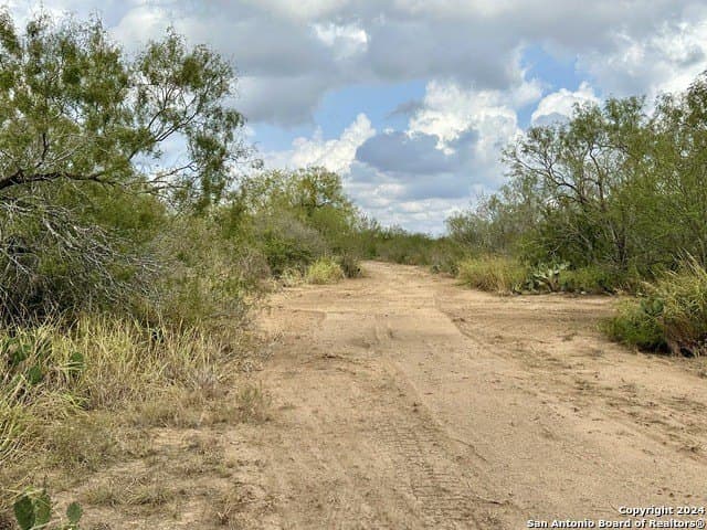 30 acres in Atascosa County - photo 4