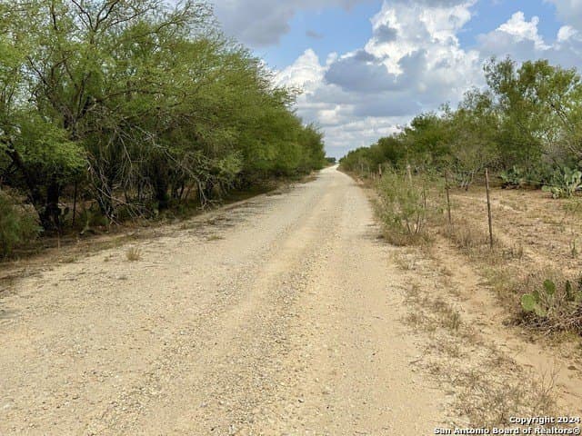 30 acres in Atascosa County - photo 3
