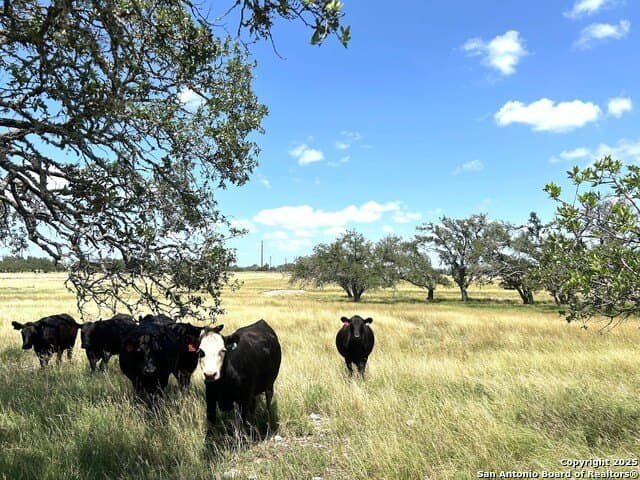 11.01 acres in Gillespie County - photo 2