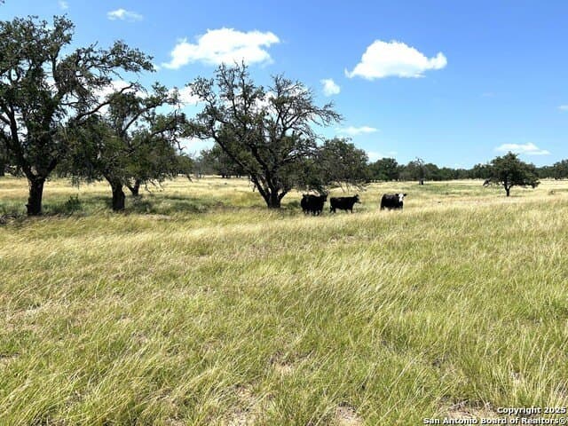 11.01 acres in Gillespie County - photo 14