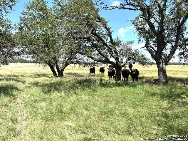 11.01 acres in Gillespie County - photo 15