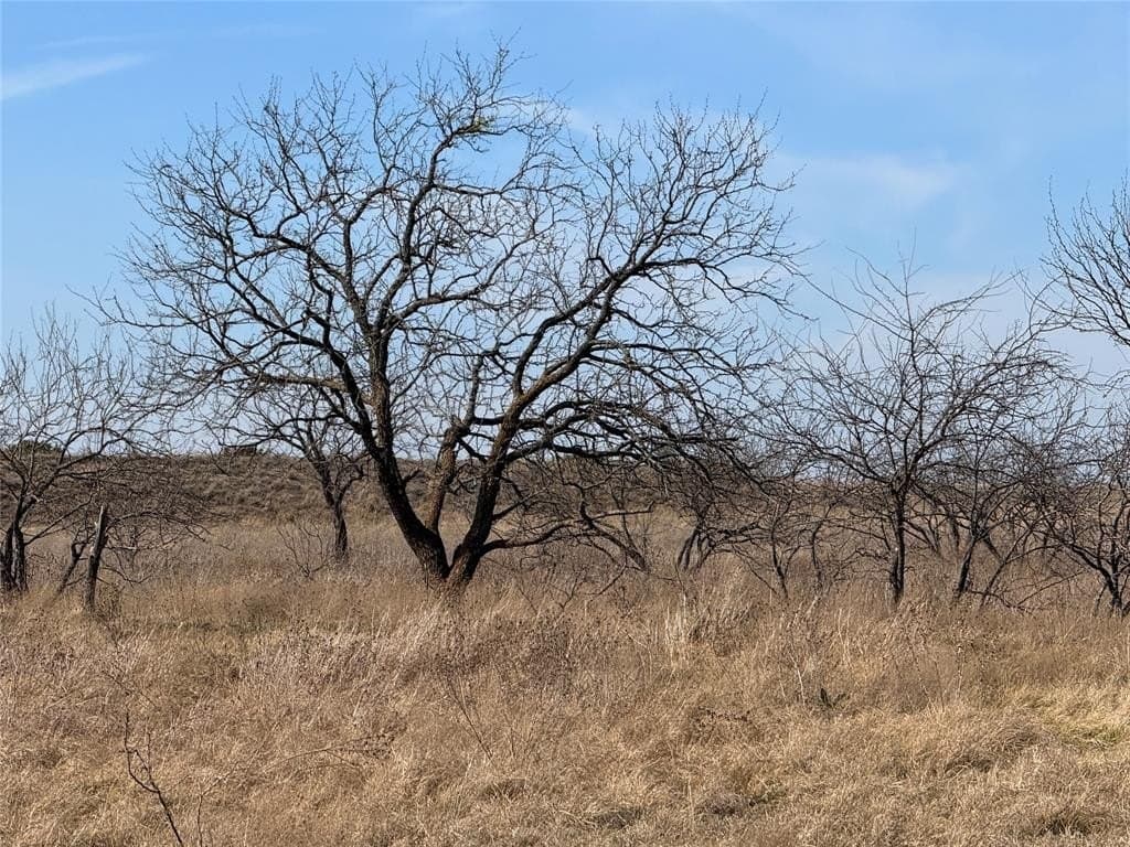 250 acres in Hamilton County - photo 34
