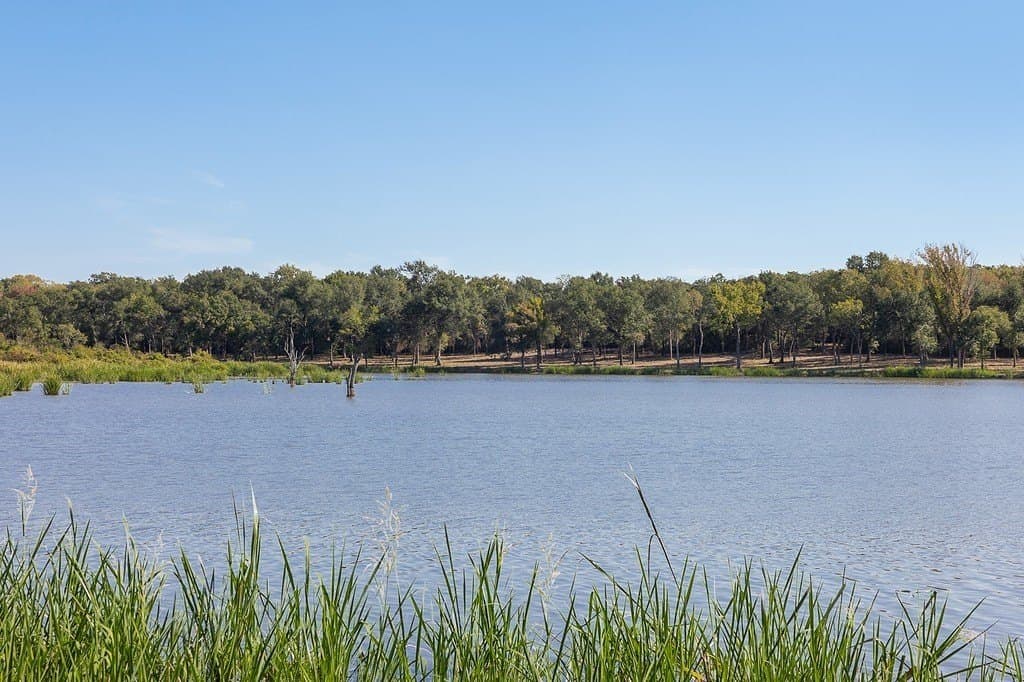 325 acres in Limestone County - photo 8