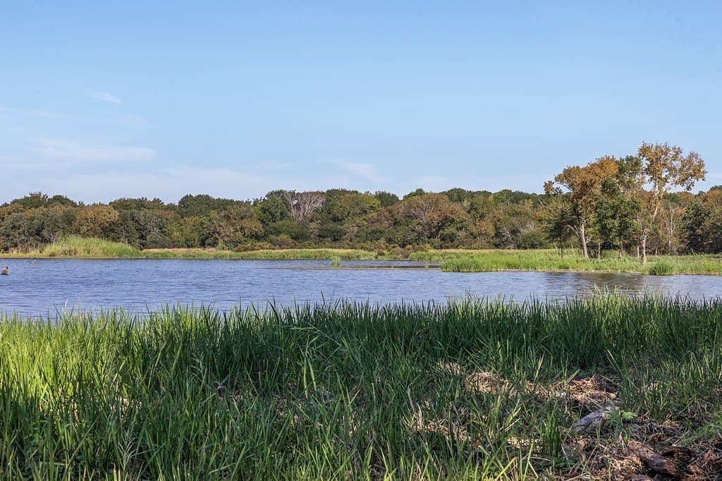325 acres in Limestone County - photo 10
