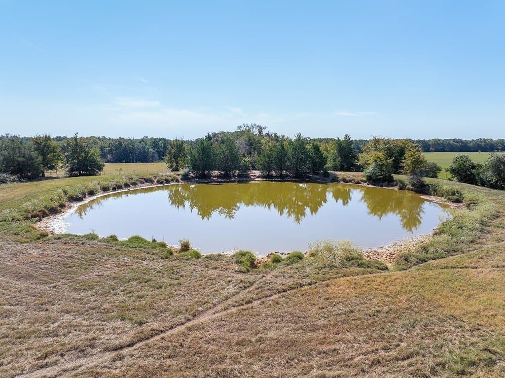 325 acres in Limestone County - photo 15