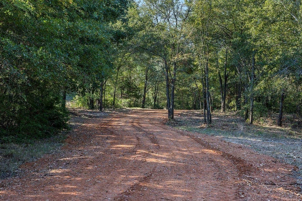 325 acres in Limestone County - photo 5