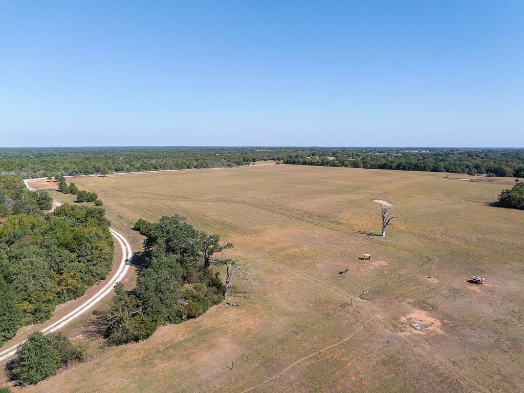 325 acres in Limestone County - photo 16