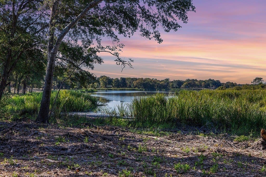 325 acres in Limestone County - photo 26