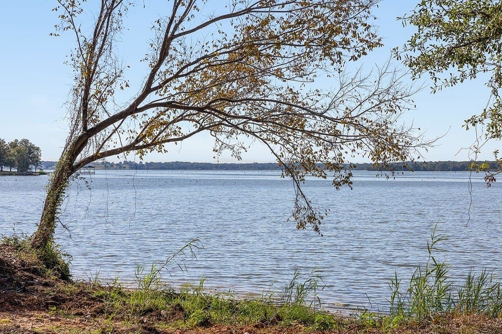 325 acres in Limestone County - photo 9