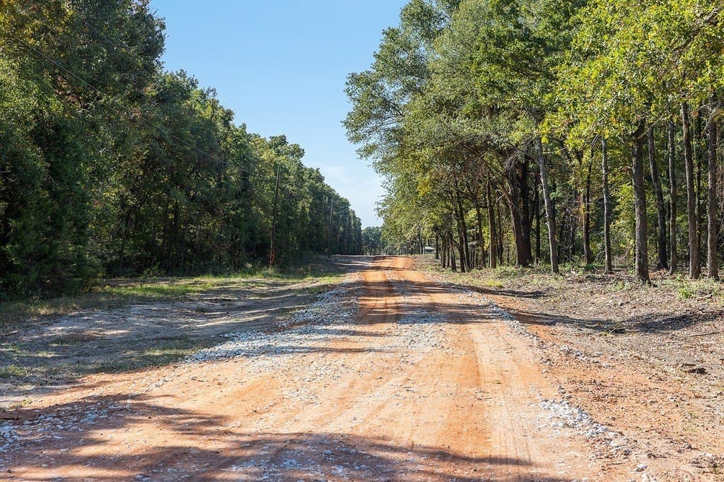 325 acres in Limestone County - photo 6