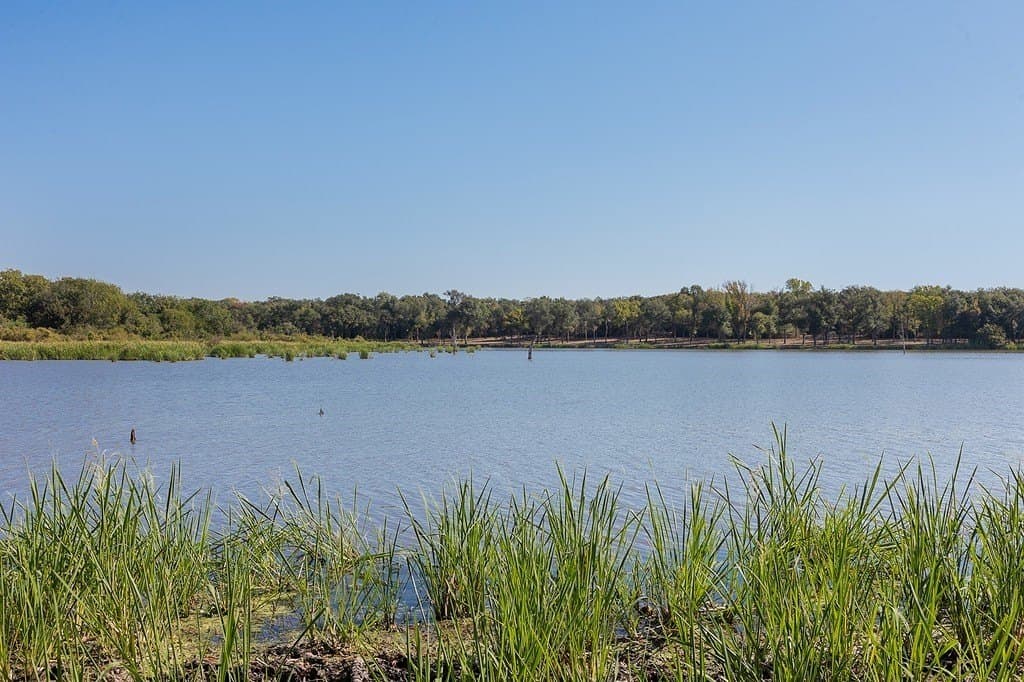 325 acres in Limestone County - photo 7