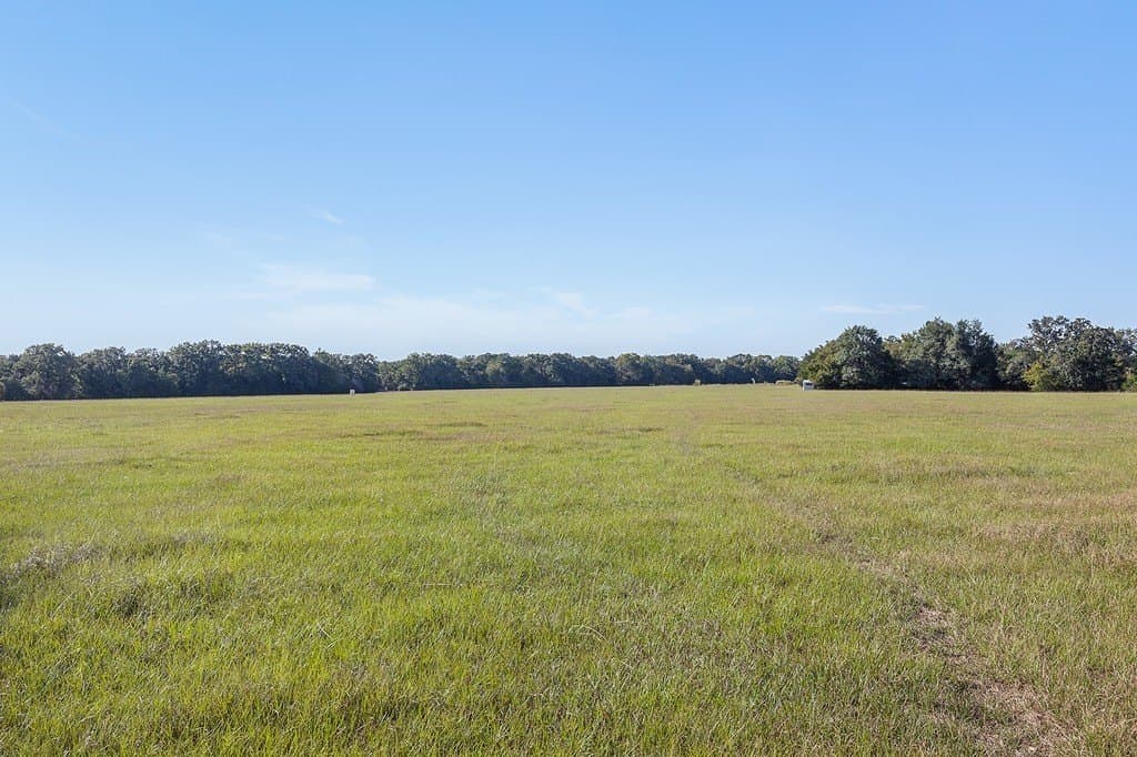325 acres in Limestone County - photo 4